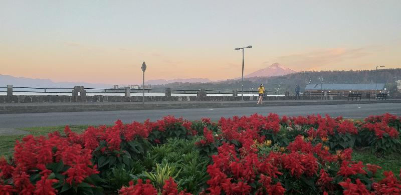 Hotel Suenos Del Volcan Villarrica Kültér fotó